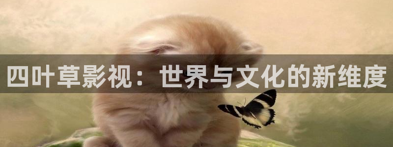 被窝午夜私人电影院