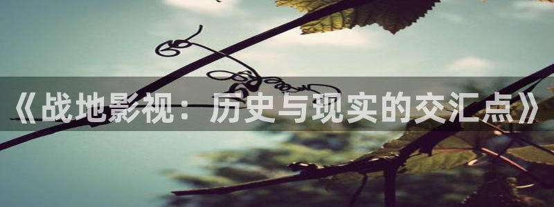 被窝福利影院亚洲：《战地影视：历史与现实的交汇点》