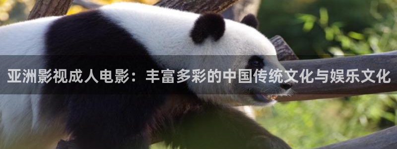 被窝电影久久：亚洲影视成人电影：丰富多彩的中国传统文化与娱乐文化