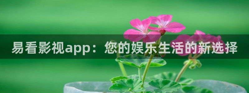 被窝影院在线观看电视剧