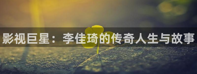 被窝儿电影：影视巨星：李佳琦的传奇人生与故事